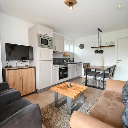 Apartment Residence Alpin Kaprun Incl Summer Card By All In One Apartments Kaprun